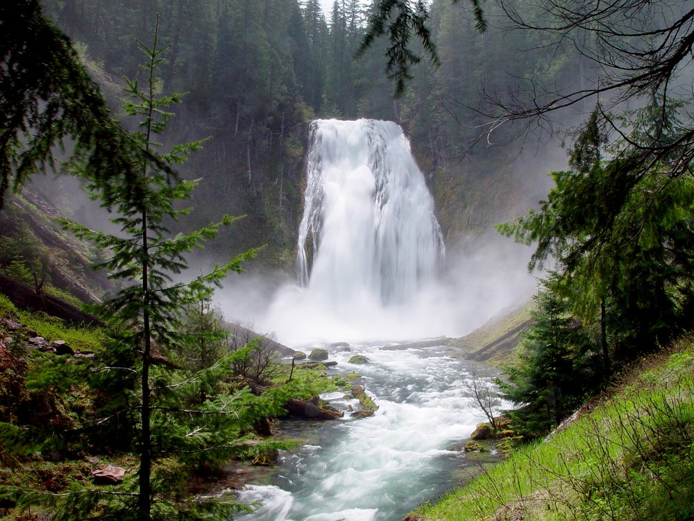 Although parts of the forest are closed, dozens of sites remain open for recreation! Brice Creek, Diamond Lake, many sites along Hwy 138, and much of our Wilderness are open.
Read the closure order at https://t.co/NaDT17u1hk.
See smoke and air quality at https://t.co/aJFSqqcpp2. https://t.co/bGhVREnKzH