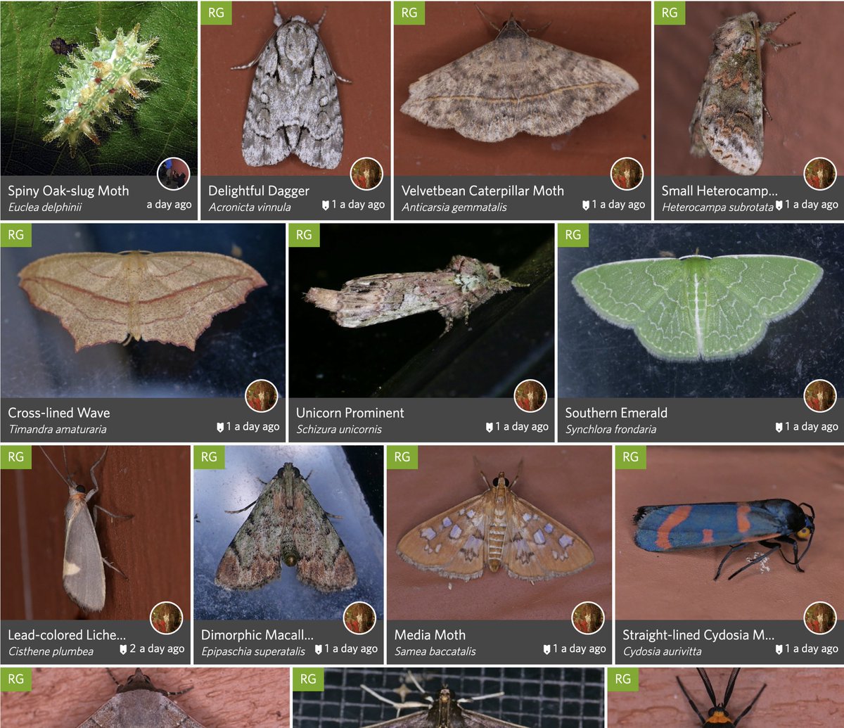 Dr. Elizabeth Barnes tweet media