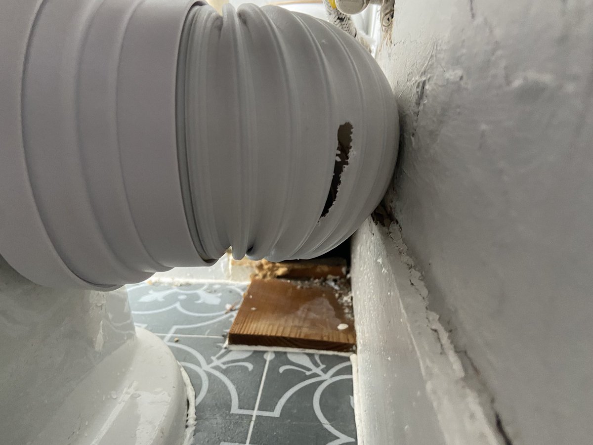 Our cat might look cute but he’s decided to claw a hole in our toilet waste connector. What sort of weirdo does that?!