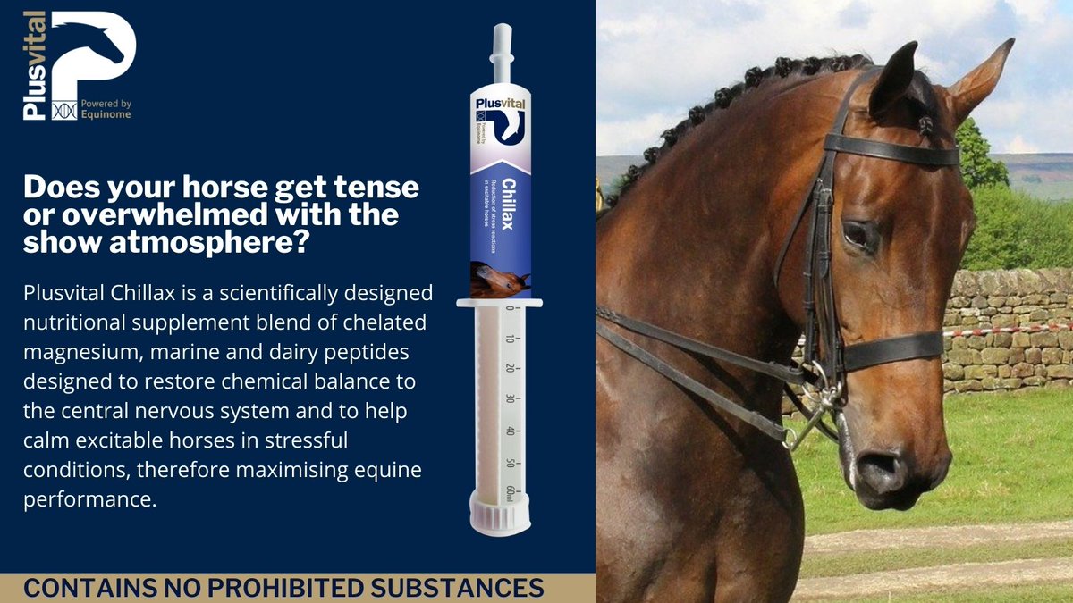 The Equine Warehouse on Twitter "Does your horse get tense or overwhelmed with the show