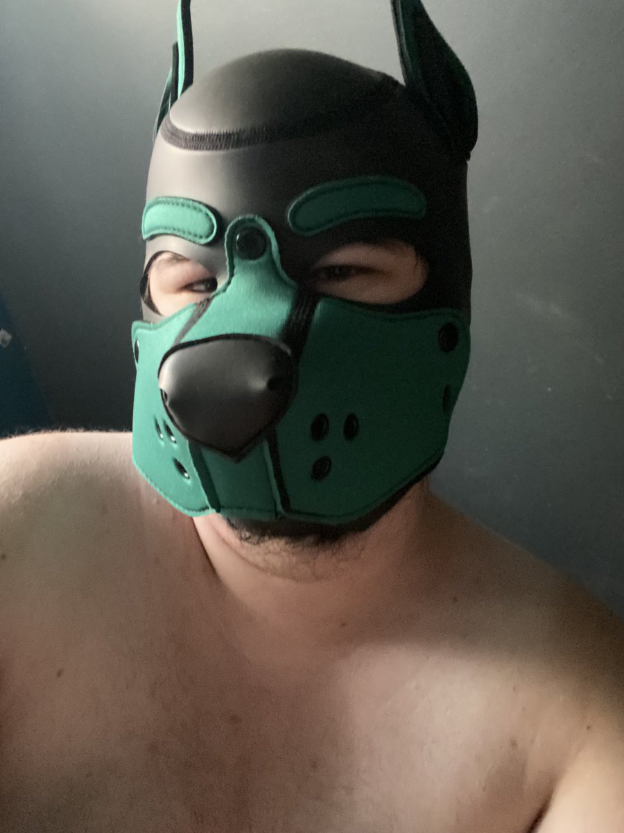 ChunkPup's tweet image. Guess what came in today~