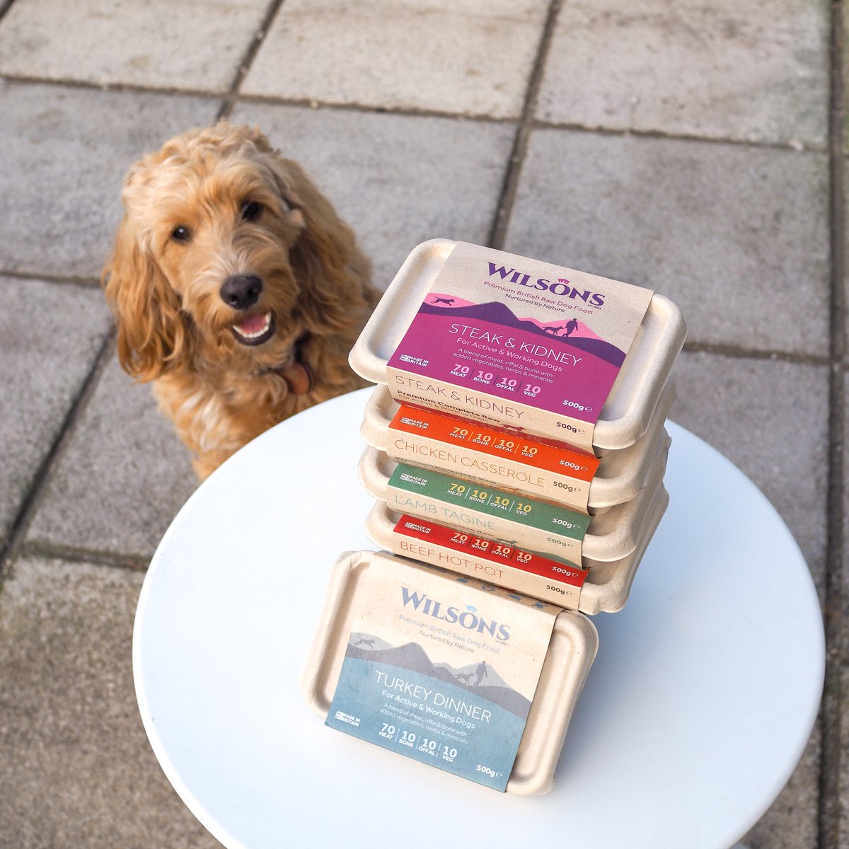 We had a fab chat with Wilsons! We learned so much! They have even put together a fab blog post for us so you can find out too! Check it out on our website now and find them over <a href="/WilsonsPetFood/">Wilsons Pet Food</a> #dogfood #coldpressed