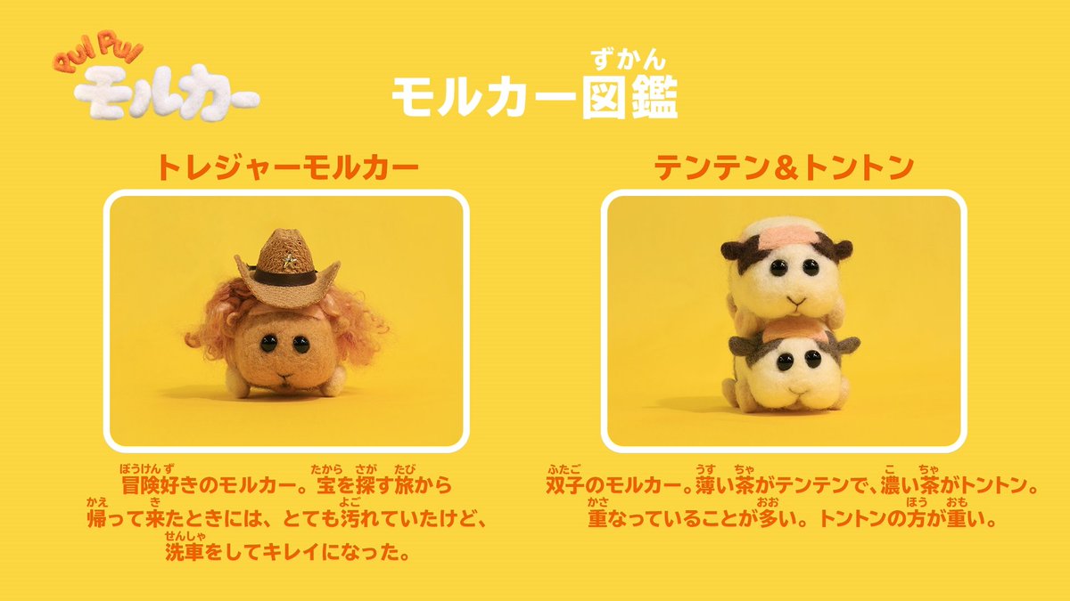 PUI PUI モルカー【公式】 on Twitter: