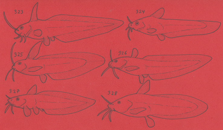 Cheetahtrout's tweet image. #fishtime is all the time.