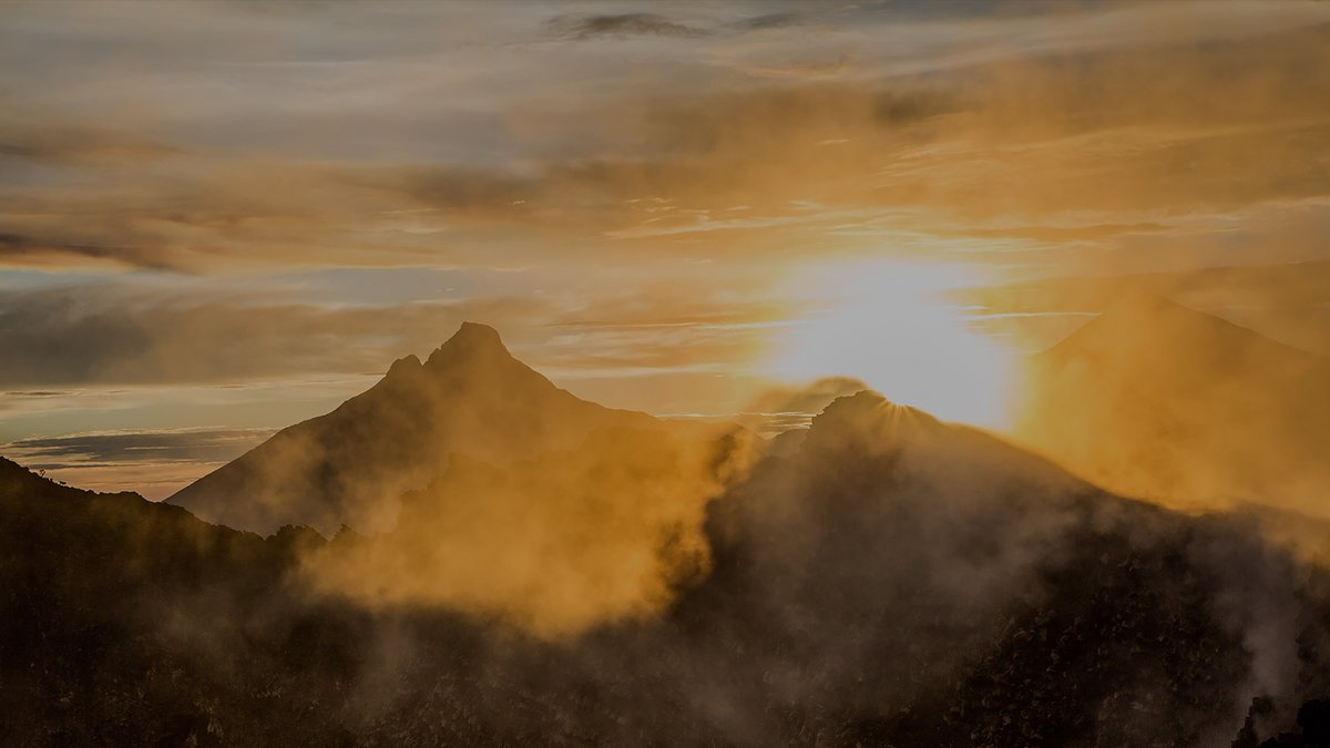 Don't forget to enjoy the view! #AmaniFam

#Amani #AmaniCoffeeCompany #business #coffeecompany
#peace #change #mission #values #core #corevalue #pourpositivity#coffeedaily #coffee_inst #coffeelife #coffeedaily #coffeeoclock #coffee_time #coffeeholic