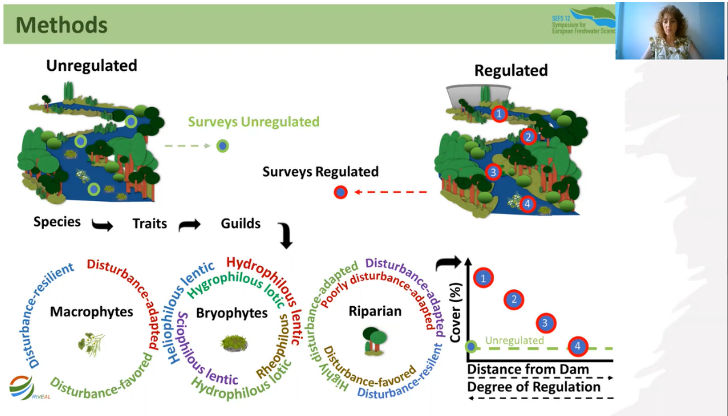 CEF_Research's tweet photo. CEF members participated in the 12th Symposium for European Freshwater Sciences (SEFS12). Their presentation showed results from the RIVEAL project.
Read more about RIVEAL at 👉 https://t.co/yQwfbIZRmH
#CEF #research #forest #SEFS12 #river @isagronomia @ULisboa_ @SEFS12_DUBLIN https://t.co/bhIopoRlsV