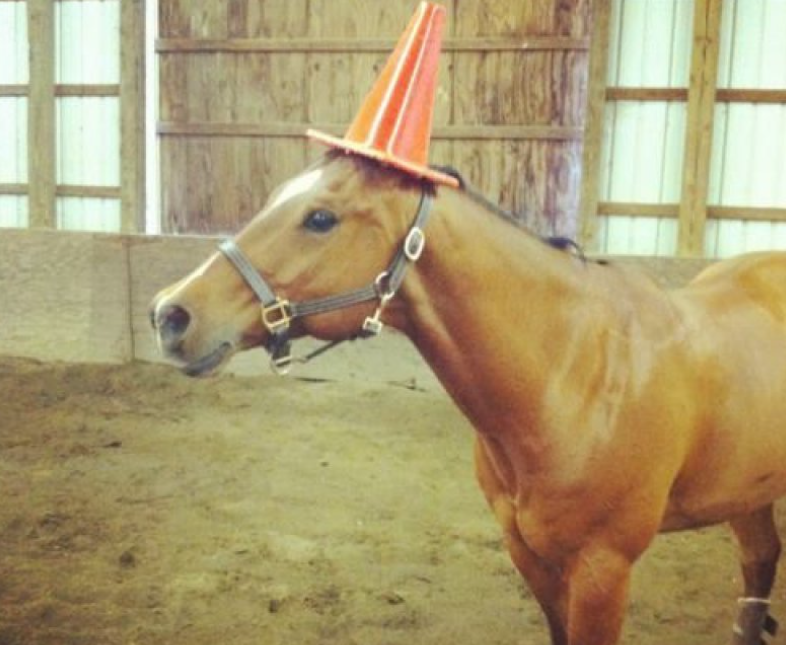 weest's tweet image. IT HAS ARRIVED AFTER ALL THIS TIME

shop.weest.tv