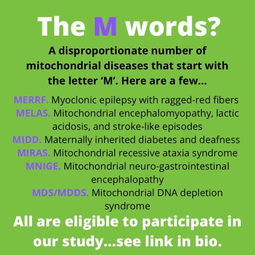 MitoSupplement's tweet photo. There are a lot of acronyms in the mito world that start with the letter ‘M’. Let’s break a few of them down 🔍
#MERRF #MELAS #MIDD #MIRAS #MNIGE #MDS #MDDS https://t.co/1MyqwMtVLh