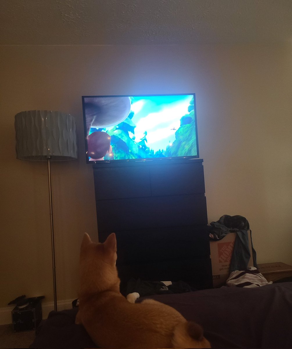 ShibHaru's tweet photo. Mommy doesn't feel good today so I lay in bed with her and watch disney movies, can you tell what we're watching? #dogsoftwitter #puppies #shibainu #CuteAnimals https://t.co/UCW1fmhc30