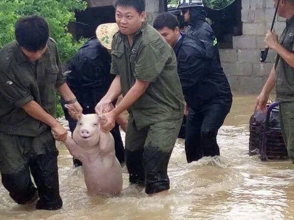 Clean Glasses TH tweet media