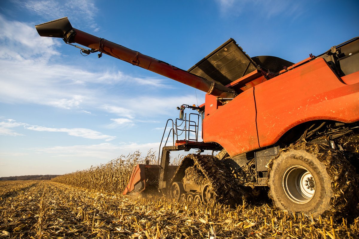Can you smell it? It's harvesting season 🤩🌾