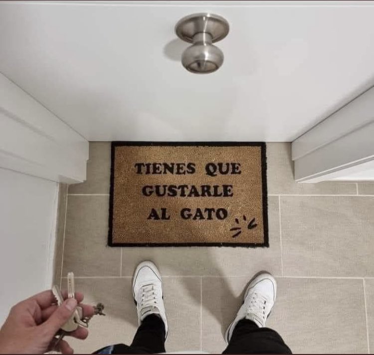 Nikowise's tweet photo. Realidad #Gatos https://t.co/3LDkcA3ikz