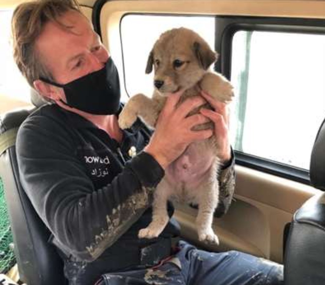 Keep lobbying your local MP and @BorisJohnson to get the @Nowzad team and animals to safety. If you can donate please do... nowzad.com/donate/uk #Afghanistan