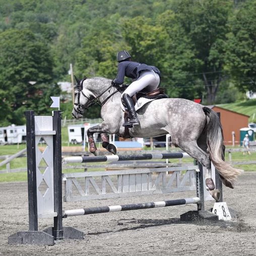 lffarm's tweet photo. Congratulations  Lea and Frosty. This stunning pair placed 3rd in the CCI2*S at the GMHA Festival of Eventing this past weekend!! This pair has been on fire all year!

🔥 🔥🔥🔥🔥 https://t.co/SlIFcZXkgb