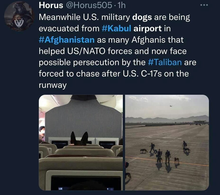 Американските сили ПРВО ГИ ЕВАКУИРААТ КУЧИЊАТА, ПА ДУРИ ПОТОА НИВНИТЕ СОРАБОТНИЦИ од Афганистан.

Толку вреди сојузништвото со САД, те третираат полошо од пес. 

#НиеСмеНАТО
#WeAreNATO