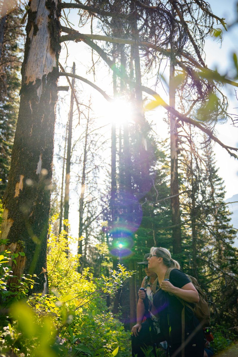 Forest bathing has been shown to help reduce stress and relieve tension. 🌲🧎‍
 
Learn more about forest bathing, the Paget Lookout guided conservation hike, and other forest bathing locations across Canada.
 👉 ow.ly/dBaL50FRQUc