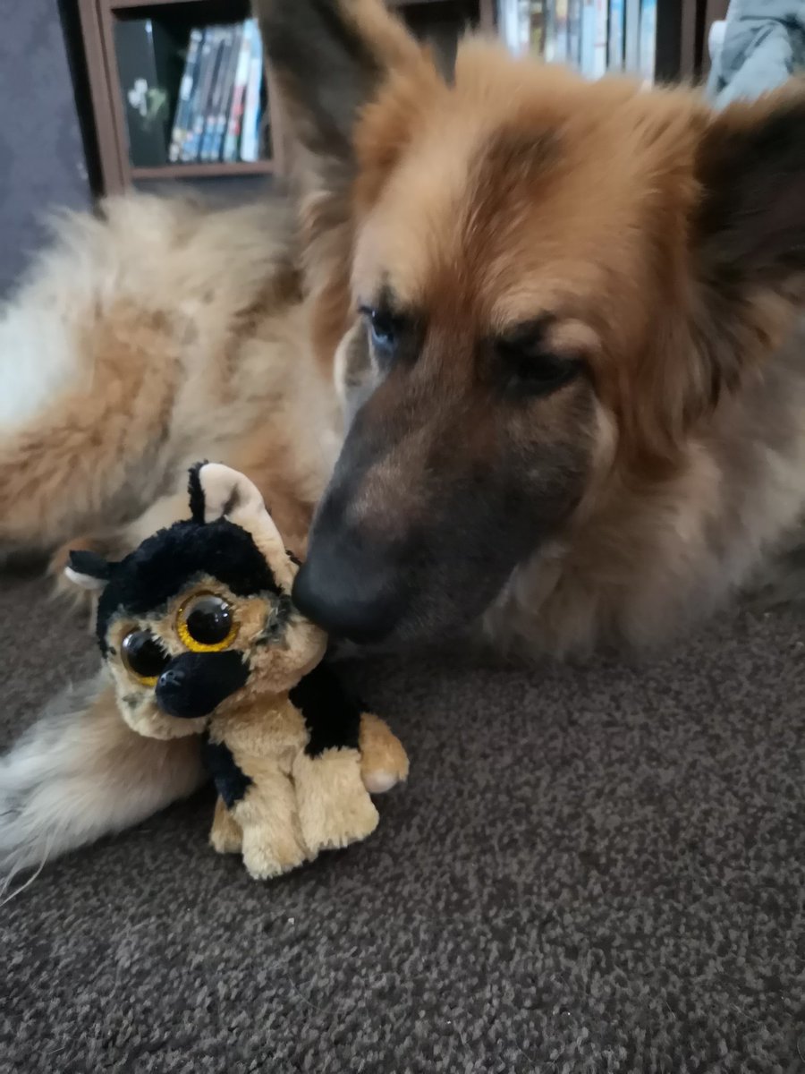 GS-Dodger tweet media