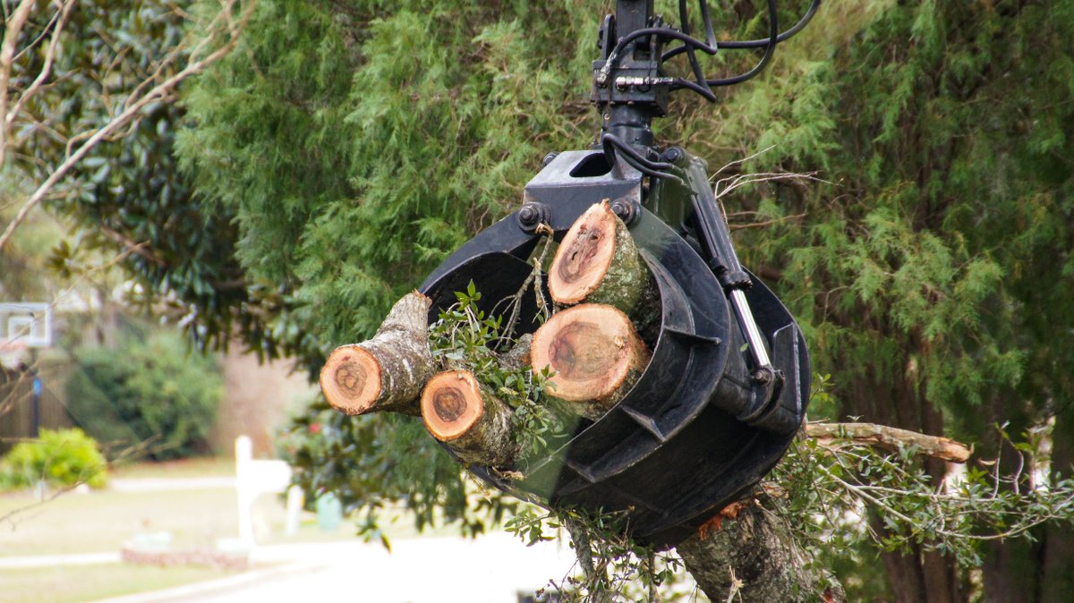 FielderTree's tweet image. For safety reasons our admin office will be closing early at 3pm for our admin staff to work remotely .

Please stay safe during this storm!
We are open!
Call 656-8737 if you need any assistance or need emergency tree work.
#OneTeamOneFamily #EmergencyTreeWork