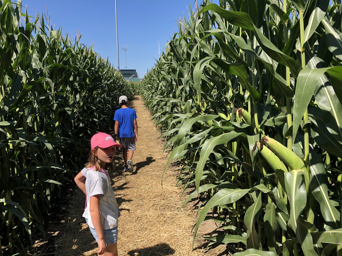 Adam Ramthun tweet media