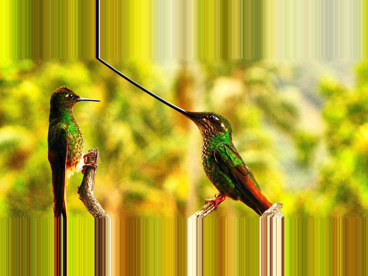 AreaFine's tweet photo. “Sword-Waving and Mansplaining” — Imaginary Psychiatrist

https://t.co/BfLxouUZER now accepts $AVAX!

#AVAX #avax #AVAXUSDT #Avaxholic #Crypto #Cryptoart #Blockchain #blockchaintechnology #NFT #NFTCommunity #nftcollector #nftart #NFTmarketplace #nftartgallery @NFTCollector16 https://t.co/H736kCrZsv
