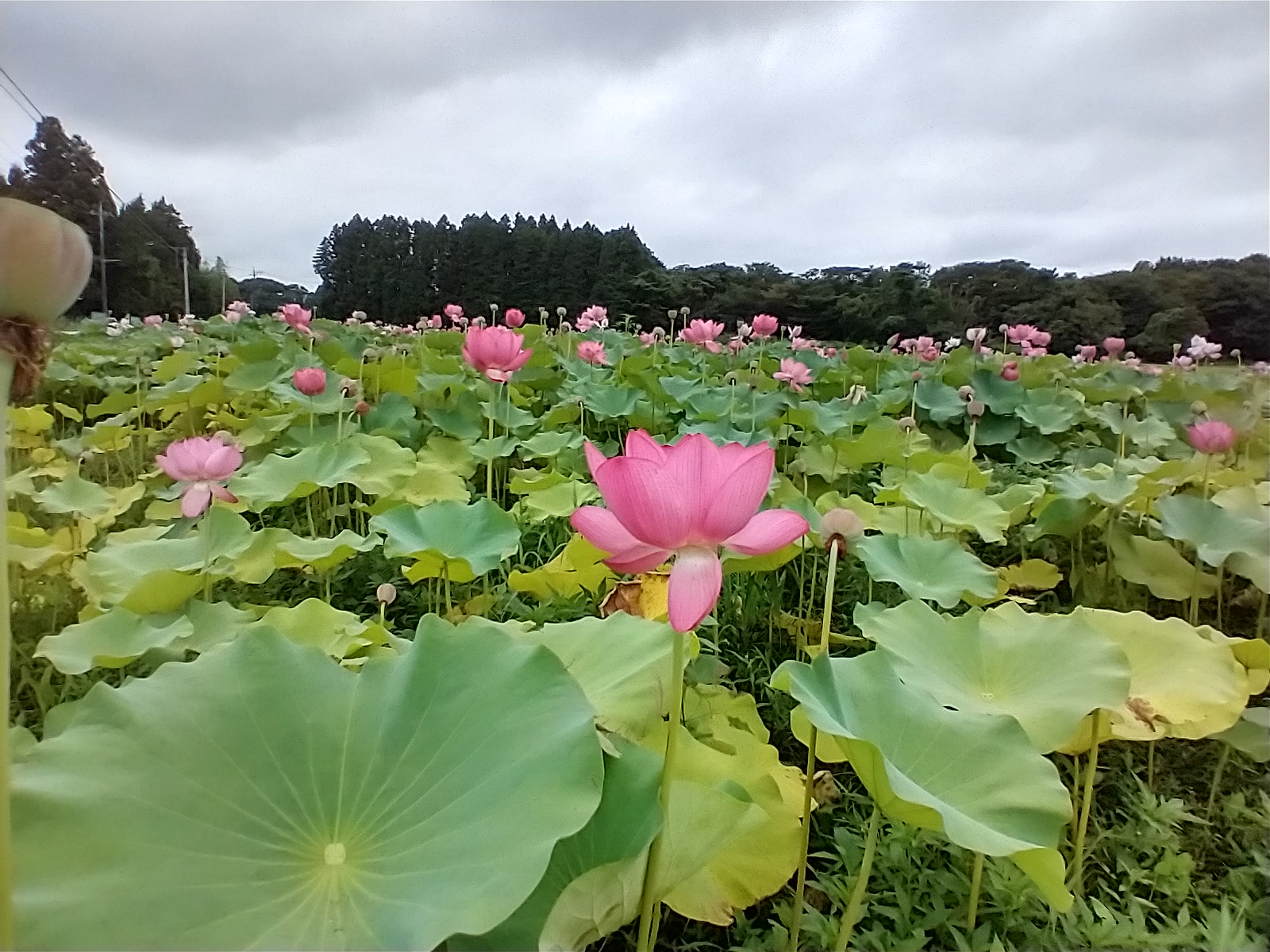 那須 喜楽庵 Wdwtnosnfn3cjqz Twitter
