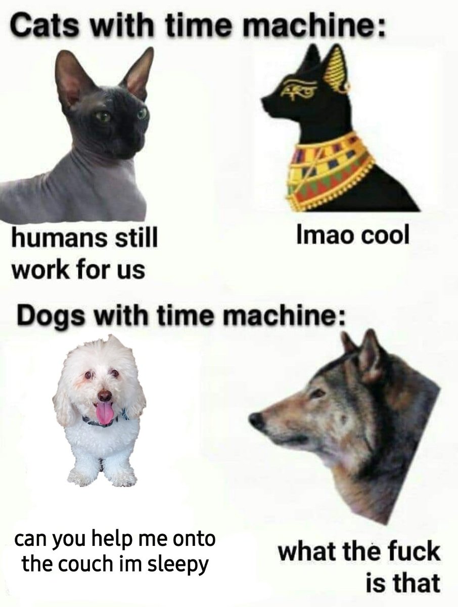 Steph 🌞 tweet media