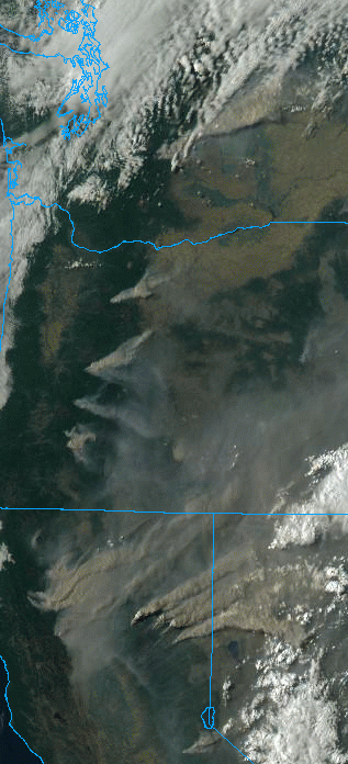 SDTorwhatever's tweet photo. Explosive fire behavior being exhibited across the West Coast today. The #SchneiderSpringsFire in WA (img 2), #BullComplexFire #MiddleForkComplex #RouchPatchComplex and #DevilsKnobComplex in OR (img 3), and #DixieFire #MonumentFire #McFarlandFire and #CaldorFire in CA (img 4). https://t.co/oB2shH3p1n