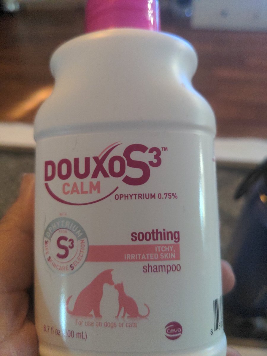 LabelByThree's tweet photo. @AnaKasparian for Charlie, vets have a prescription shampoo that helps with skin issues such as allergy issues and hot spots that cause the itching to not be as bad. This has helped our dogs a lot, and they have the same issue from the heat in Arizona. Hope this helps. https://t.co/9FlRevEMw2