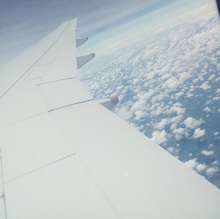 TimingImage's tweet image. 