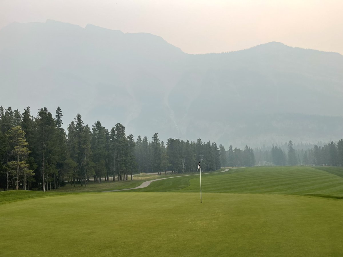 Landon Hall tweet media