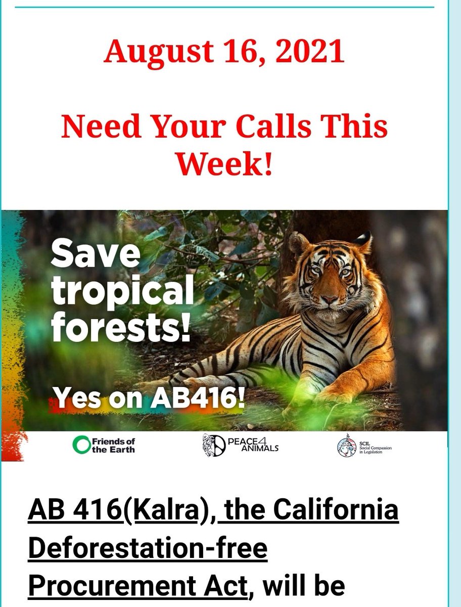 California’s vast purchasing power should not be used to help corporations destroy global forests <a href="/Portantino/">Anthony Portantino</a> <a href="/SenToniAtkins/">Senate President pro Tempore Emeritus Toni Atkins</a> <a href="/CAgovernor/">Governor Gavin Newsom</a>: PLEASE Vote #YesOnAB416 a bill to stop CA procurement contracts from driving deforestation &amp; human rights abuses! RT to save tropical forests!