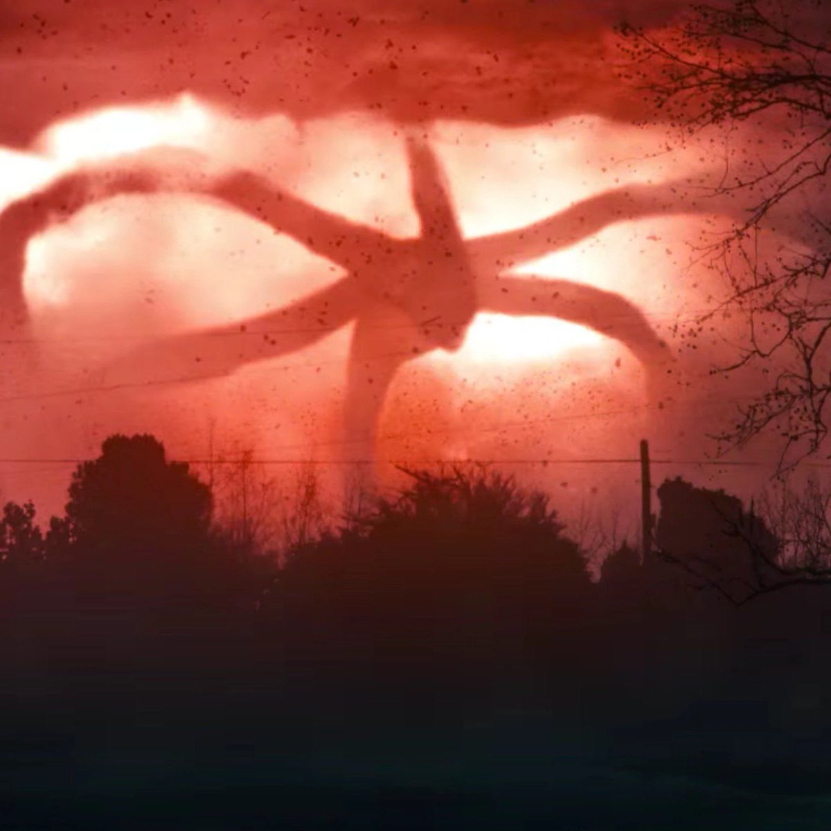 Stranger Things News & Updates tweet media