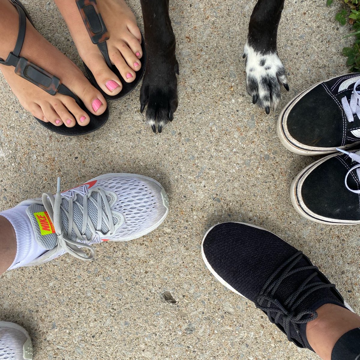 landwise_team's tweet photo. All hands &amp; 🐾on deck.  
What a beautiful day for a lunch time walk to support @YWCA_Hamilton #WAMHamilton. 
THANK YOU to all of our donors for being part of the SOLUTION. 
And, YES, we are still accepting donations! 😉
https://t.co/bzHmUCtDkX https://t.co/g7nBr7wrPG