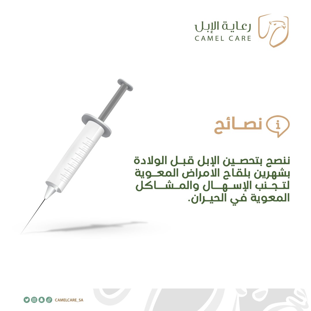 أهمية تحصين الإبل:

#رعاية_الإبل
