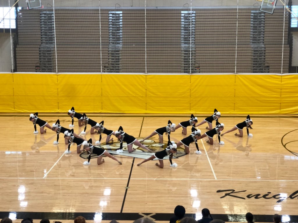 lsehs's tweet photo. Welcome to all of our new Knights at LSE! New Knight Day ended with a pep rally. Go Knights! #KnightPride https://t.co/IdxDllzA9H