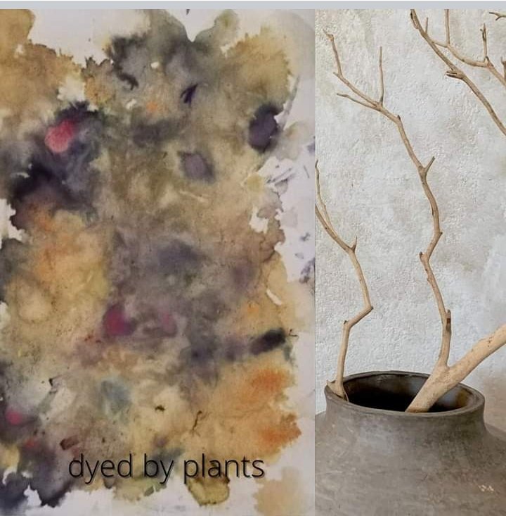 EcoEwa's tweet photo. Eco Design Ewa Latala has plenty of interior decorating inspiration for you with images from nature. On sale today!🌿🌿🌿

#passion4interior #interior_deluxe #balistyle #bohogarden #dansk #dream_interiors #homeadore #nordicliving #patio #backyard #bohostyle #backyarddesign https://t.co/nbhBM9rVYV