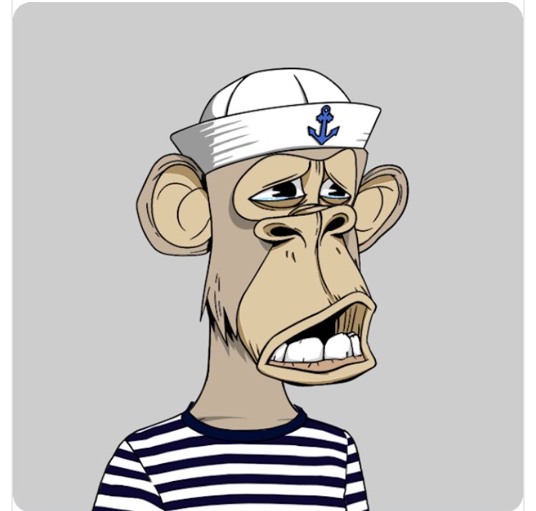 Sunny 🤓 tweet media