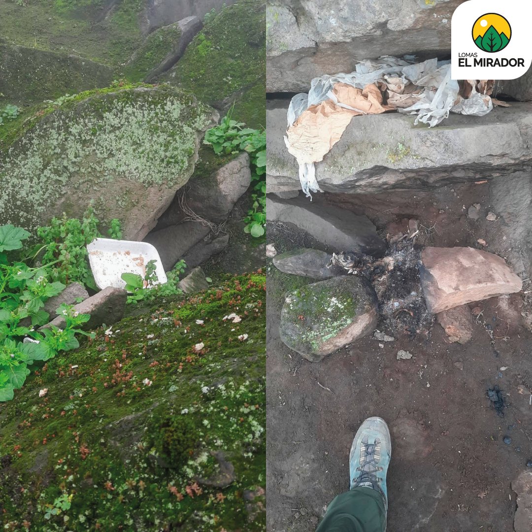 HTMV_'s tweet photo. No promuevan visitas informales. Cuidemos juntos este frágil ecosistema. 

#Denuncia #Respeta #conservation #ecosistemafrágil #TurismoResponsable #CuidaLasLomas #SomosLomasSeamosloSiempre #HTMV #Comunidad https://t.co/FZf88Yue83