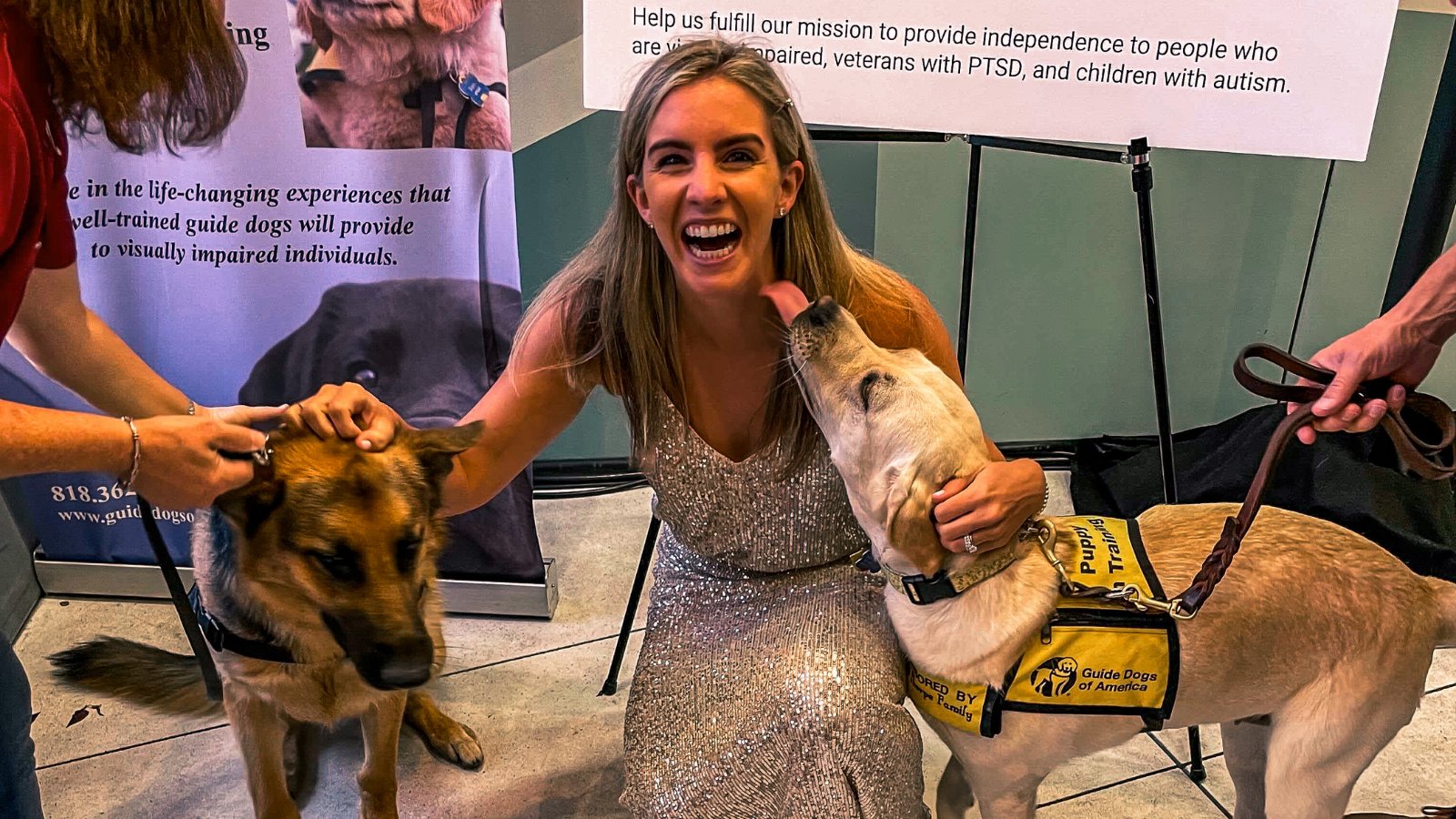 Steno_Reporters on Twitter "🌟An evening on the red carpet🌟 This