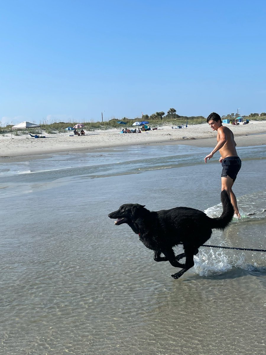 MForlenzo's tweet photo. My very happy boy!!! https://t.co/hYLaTGXEzS