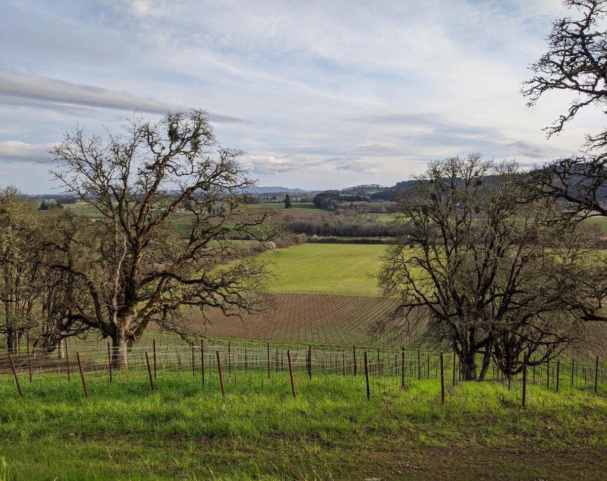 Willamette Valley is known for producing some of the world’s best #PinotNoir -- just ask our Certified Sommelier Jordan Carver, who recently visited the region’s finest wineries including @RocoWinery. Sip on a glass of their Gravel Road today in honor of #NationalPinotNoirDay 🍷