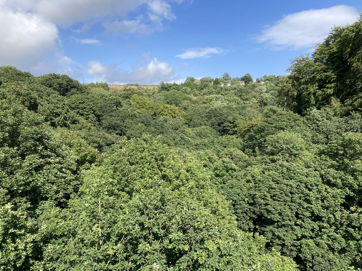 _abitdaft's tweet photo. #healeydell what a beautiful place not far from me and I’d never heard about it until today ❤️ https://t.co/hp4de3XQ9X