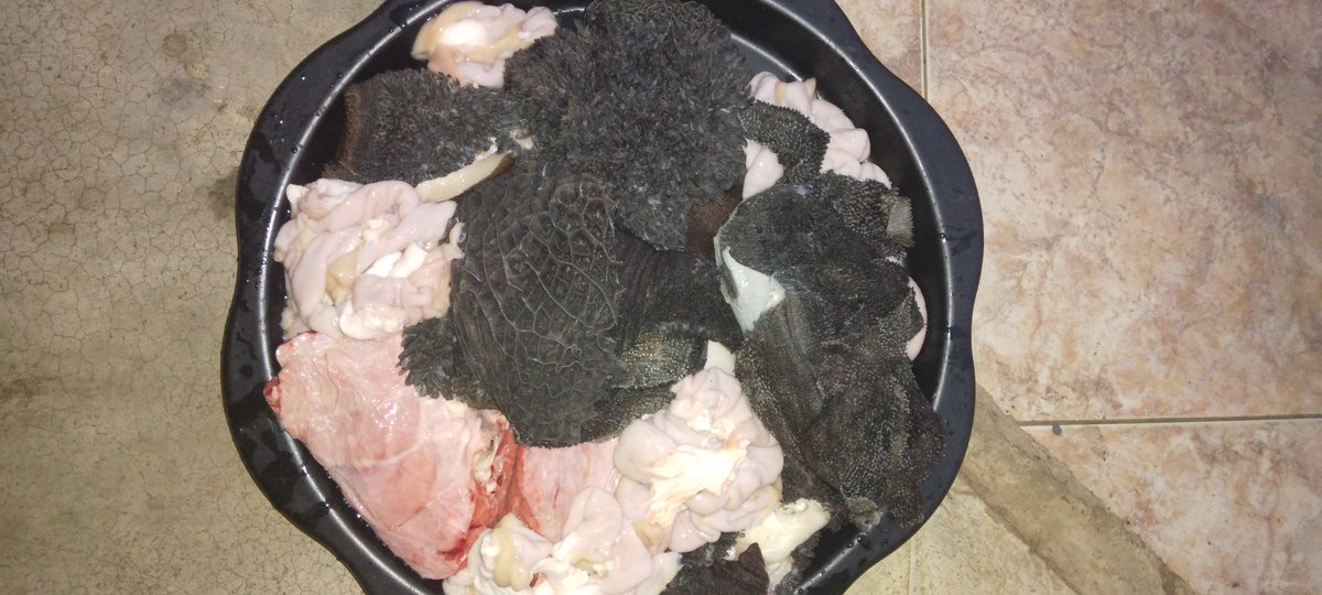 _fosloo's tweet image. Mishumo ya dzi khombe! 

#SyayFocused!