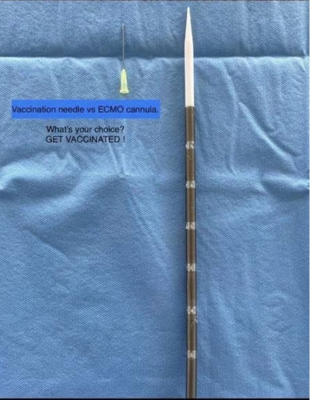 What’s your choice? #COVID19