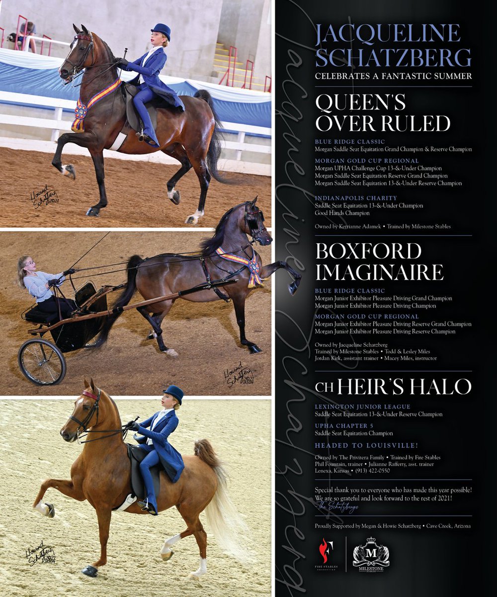 TNH1865's tweet photo. Jacqueline Schatzberg Celebrates a Fantastic Summer with Queen’s Over Ruled, Boxford Imaginaire, and CH Heir’s Halo
#nationalhorseman #jacquelineschatzberg @firestablesequestrian @milestonestables #equitation #pleasuredriving  #saddlebred #morganhorse https://t.co/4Lqj0yjISQ