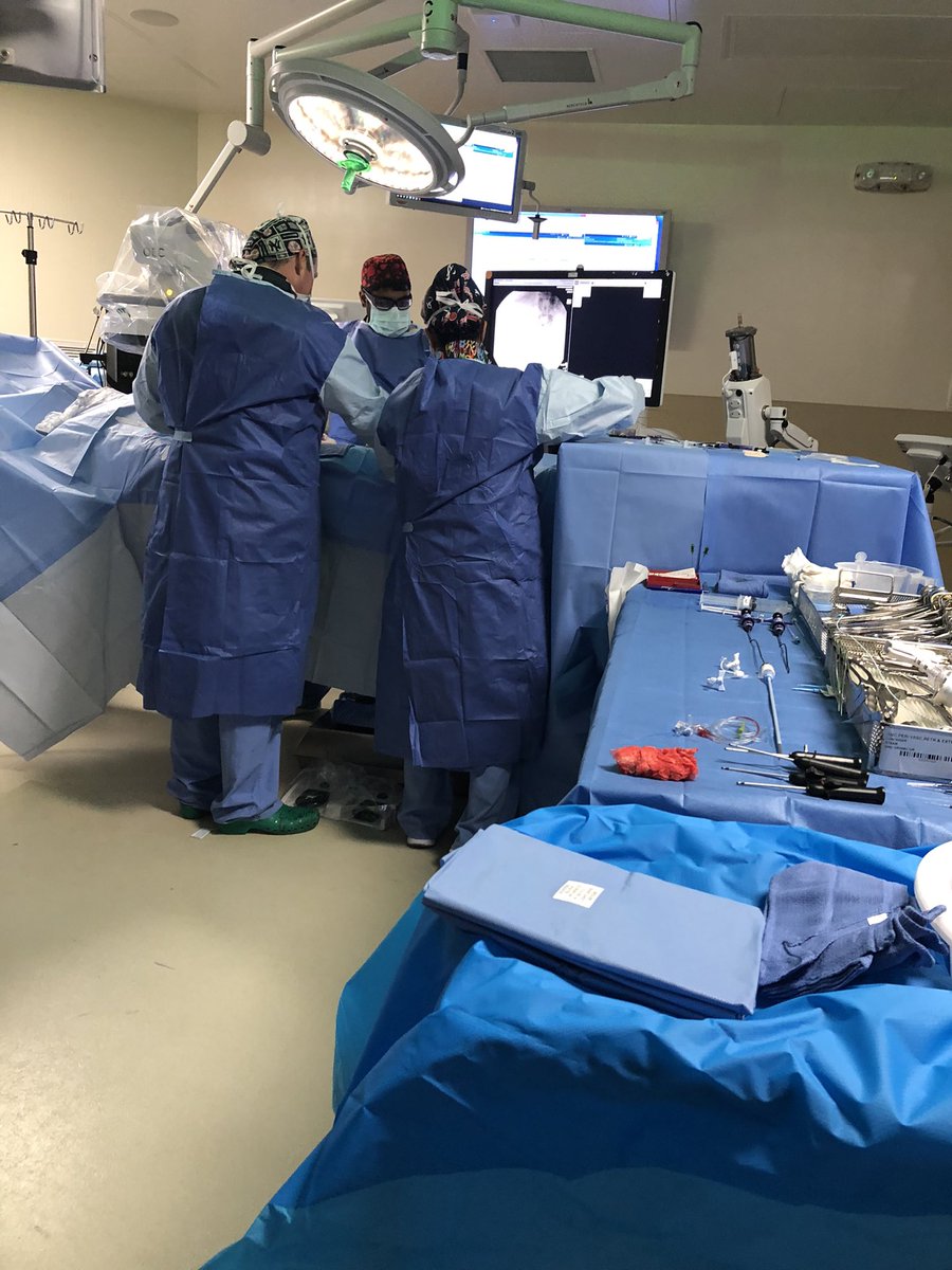 The First Terumo Treo performed at Northside Gwinnett Medical Center.  89 yo m with symptomatic AAA.  Many Thanks to my partner Sesank Mikkilineni and special thanks to Shane Comer, and Roman Polivka for their support.  Many more to come!