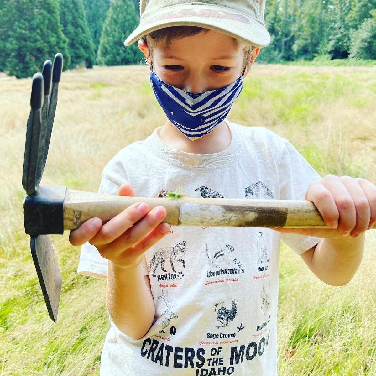 whalescout's tweet photo. Grasshoppers, faces stuffed full of delicious berries, pie, and friendships were the highlights of yesterday’s volunteer event at the former Wayne Golf Course! Salmon will be returning to the Sammamish River. #bothellparks #salmon #orcas #protectwhatyoulove https://t.co/k1HQCoJtKq