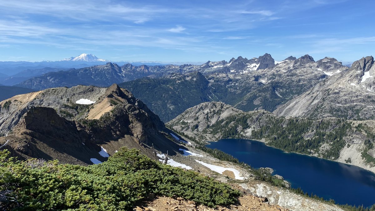 Stephen Johnson tweet media