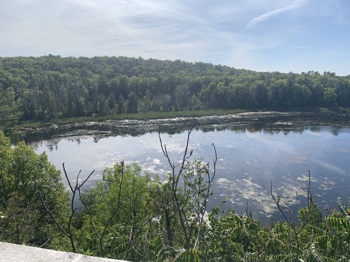 Always something new to discover when you’re on the trails⁦<a href="/ShawWoodsOEC/">ShawWoods</a>. Gorgeous day for a hike. ⁩ #tada #getoutside