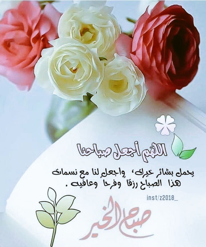 ٠٠٠٠ tweet media